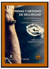 PENAS Y MEDIDAS DE SEGURIDAD - 9788413590578